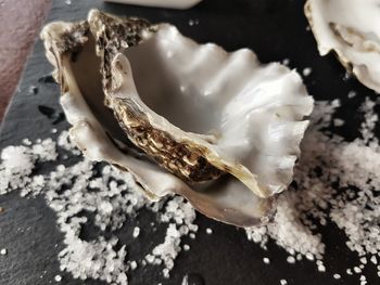High angle view of ice cream on table