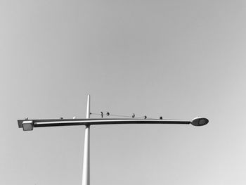 Low angle view of birds against clear sky