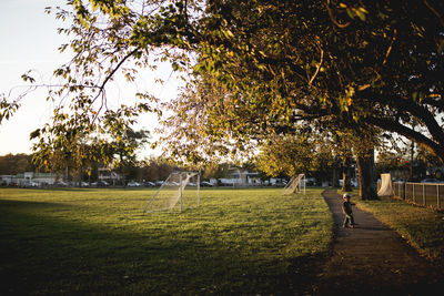 Trees in park against sky