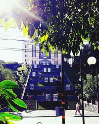 Low angle view of trees and buildings in city