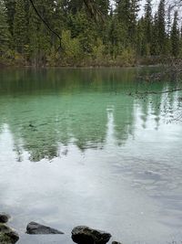 Scenic view of lake