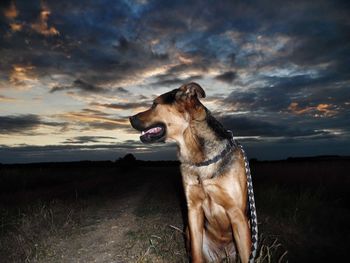 Road against cloudy sky at sunset