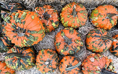 Full frame shot of pumpkins for sale in market