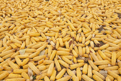 Full frame shot of corn for sale