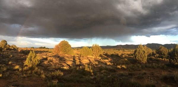 Scenic view of landscape against cloudy sky