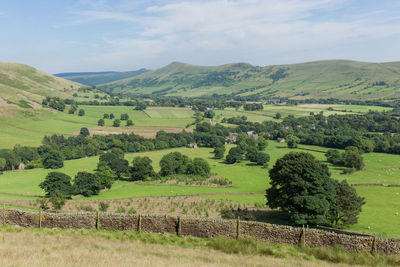 Scenic view of green landscape