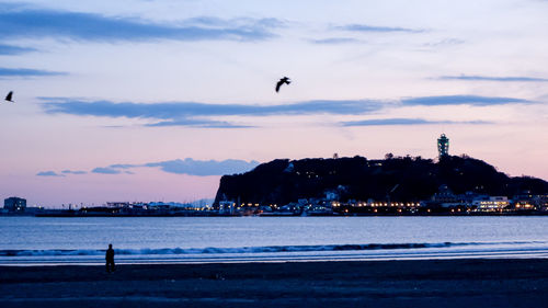 Silhouette birds flying over sea against sky during sunset