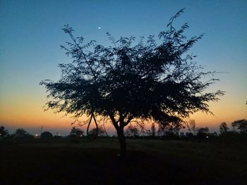 Silhouette tree on field against clear sky