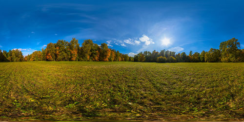 360 by 180 degree spherical panorama of sunny autumnal meadow and yellow forest with blue sky.