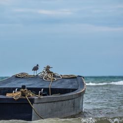 View of horse in sea against sky