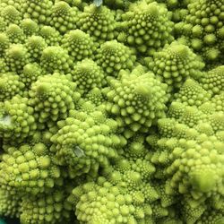 Vegetable geometrical pattern