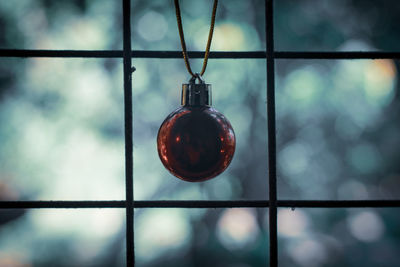 Close-up of metal hanging on fence