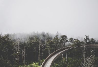 Road amidst trees in forest against sky