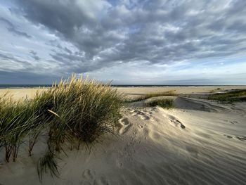 Scenic view of beach against sky
