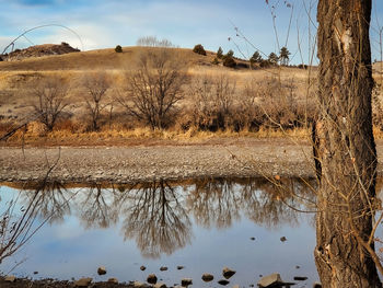 Reflection of bare trees in lake against sky