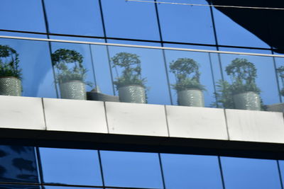 Low angle view of glass building against sky