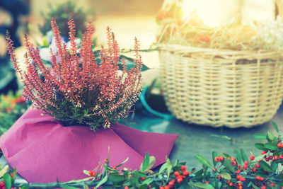 Close-up of flowers in basket on table