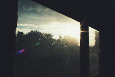 Silhouette trees against sky seen through window