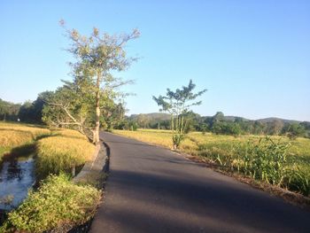 Road amidst trees against clear sky