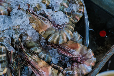 Close-up of fish for sale in market