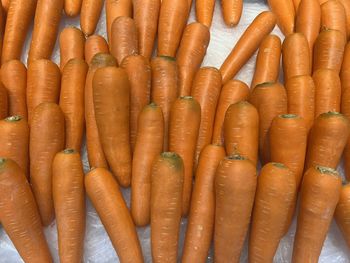 carrot