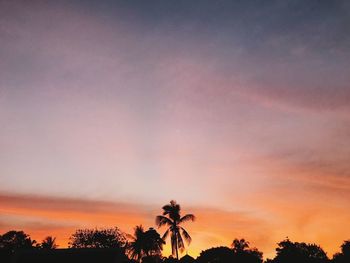 Low angle view of silhouette trees against sky during sunset