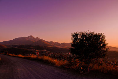 Road by trees against clear sky during sunset