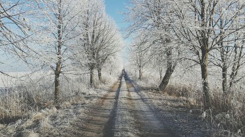 Empty road amidst snow covered trees at forest