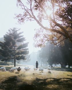 People relaxing in park against sky