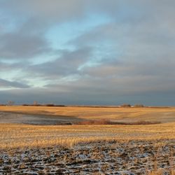 Scenic view of farm against sky