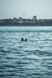 Ducks swimming in sea against clear sky