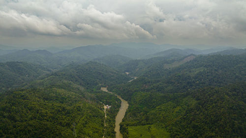 environment
