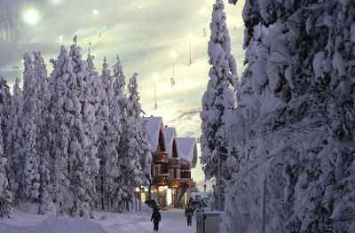 Snow covered trees against sky