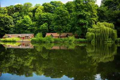 Scenic view of lake by trees