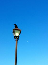 Low angle view of street light against blue sky