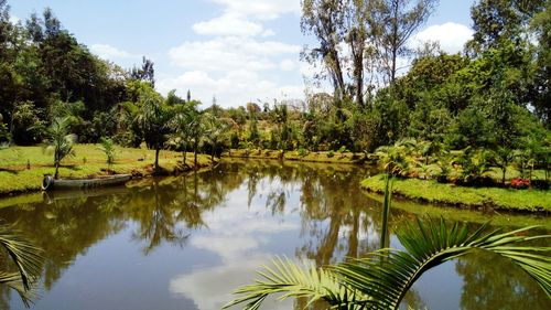 Scenic view of lake by trees against sky