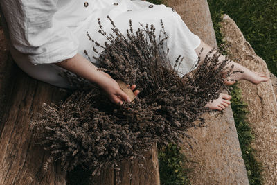 Midsection of woman with tree trunk