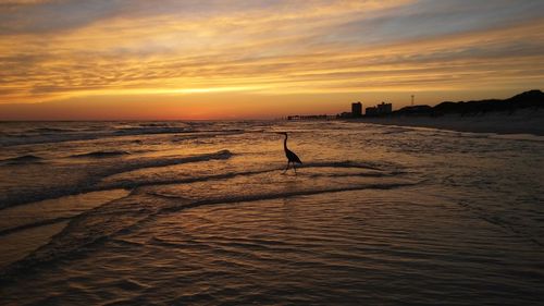 Scenic view of beach during sunset