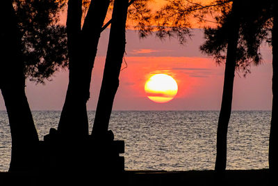 Silhouette tree by sea against sky during sunset