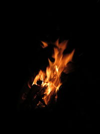 Close-up of fire in the dark