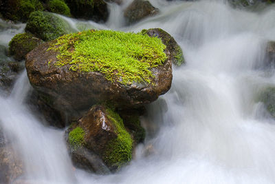 Scenic view of waterfall