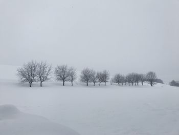 Trees on snow covered landscape against clear sky