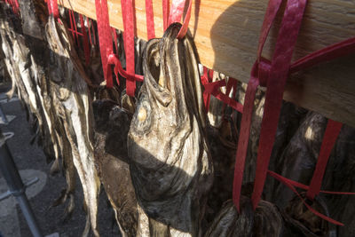 Close-up of clothes hanging on clothesline