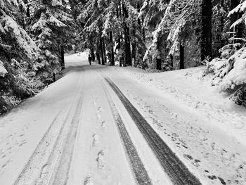 Snow covered road amidst trees