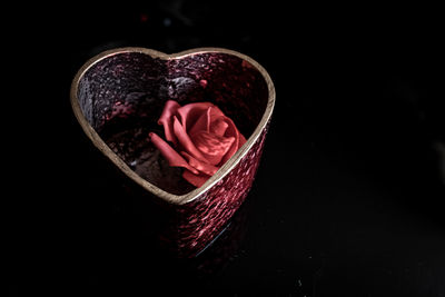 Close-up of rose against black background