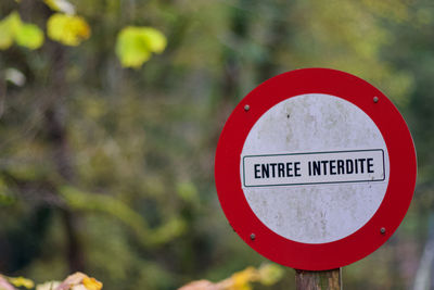 Close-up of road sign