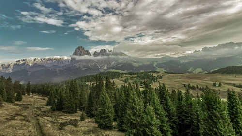 Scenic view of landscape against sky