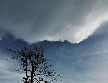 Low angle view of trees against cloudy sky