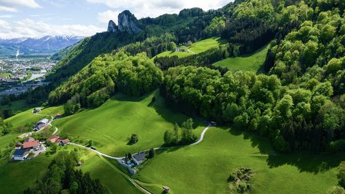 High angle view of trees on landscape