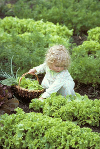 Rear view of woman picking plants